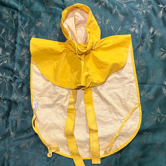 Dog Accessories - Picture 3 of 12